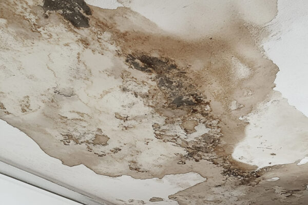 Roof Leaks and Water Damage Inside Your Corpus Christi Home