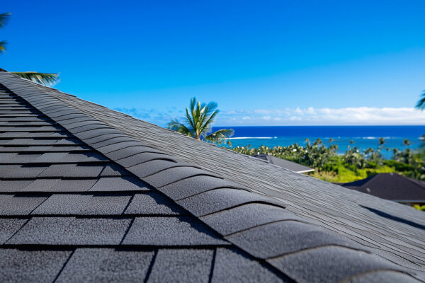 Eco-Friendly Roofing Options for Corpus Christi Homeowners